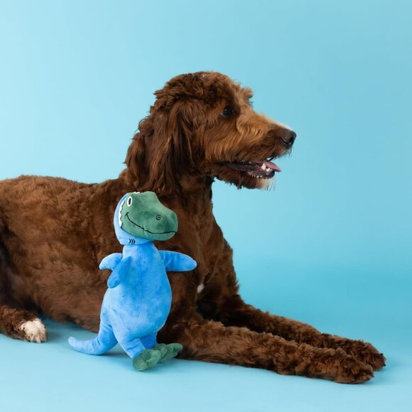 Studio Dog Plush Pet Toy with Squeaker, Feelin’ Jawsome! for All Breed Sizes, Me - Picture 2 of 4